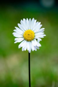 guillaume-de-germain-y33ul0-HF10-unsplash (1)